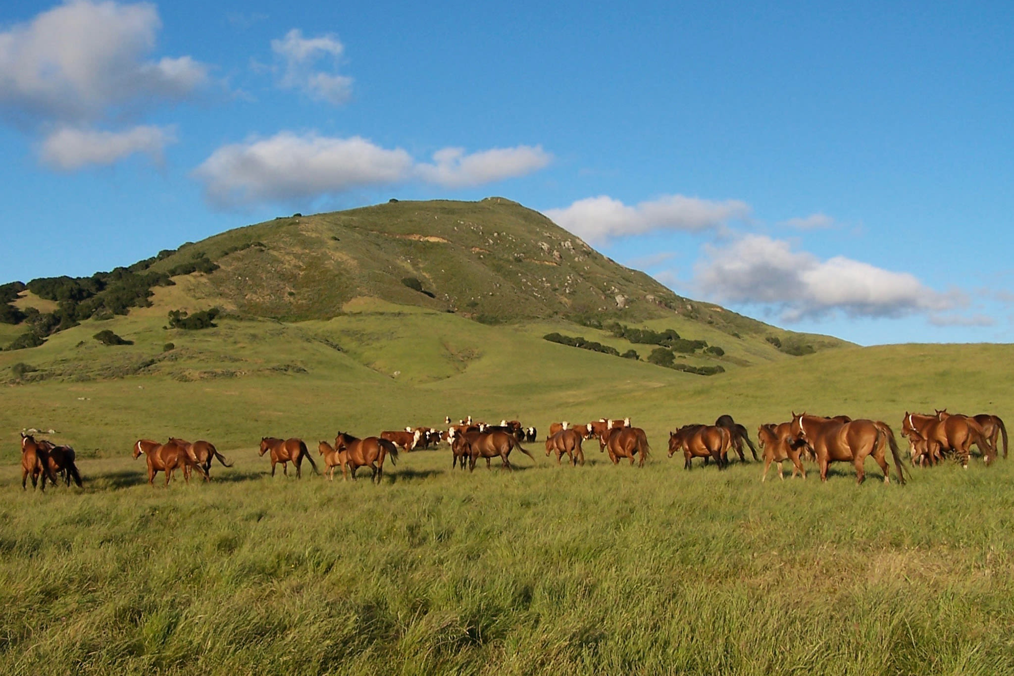 The Madonna Inn family is selling their California ranch