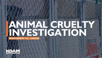 Nine dogs, two horses rescued in animal cruelty investigation