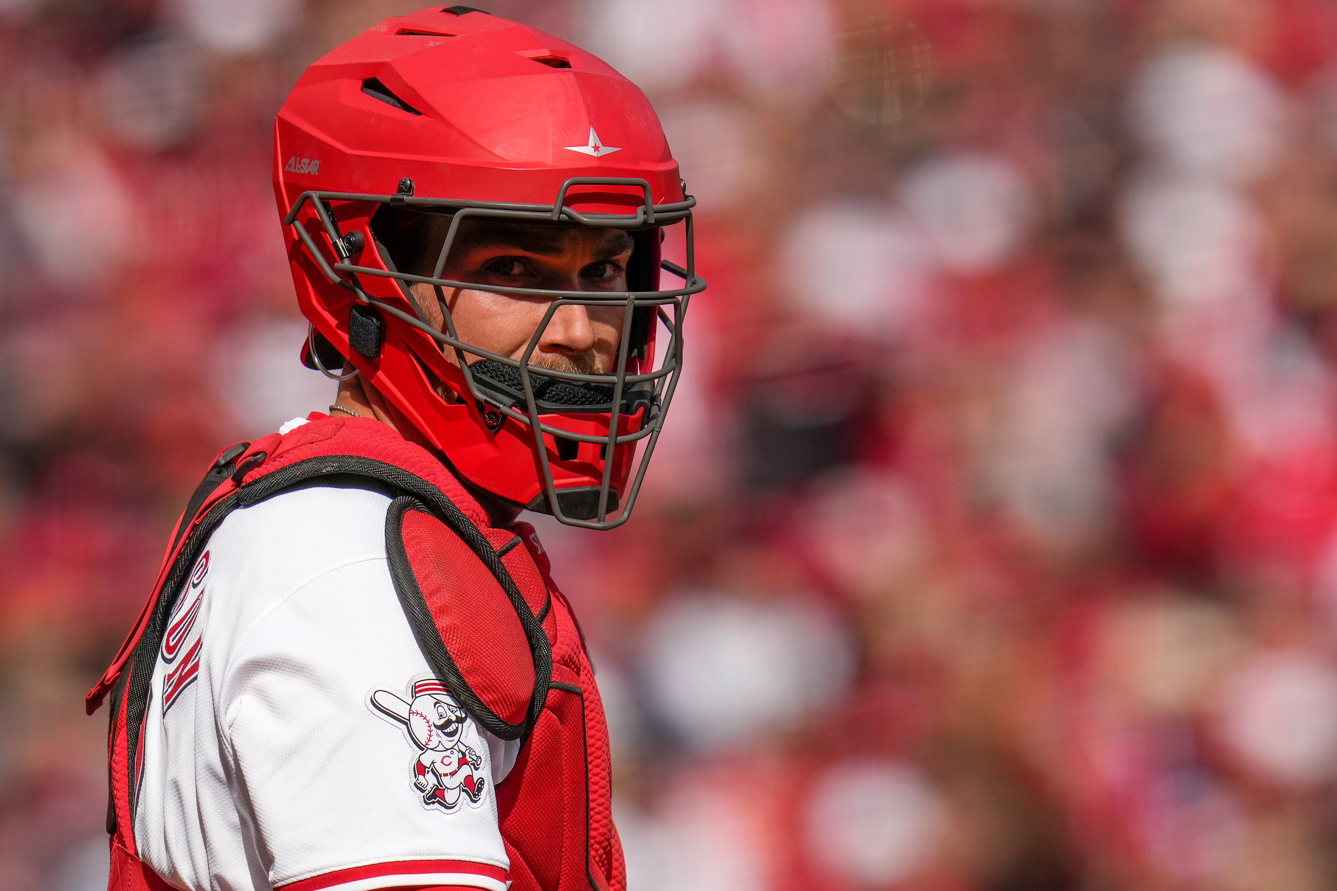 Reds catcher Tyler Stephenson is reading ahead in a breakthrough 2024 season