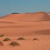 Coral Pink Sand Dunes State Park