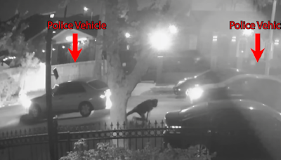 LAPD releases video of officer fatally shooting 18-year-old from unmarked police car