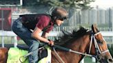 Kentucky Derby: Jockeys Aboard For Gallops On Stronghold, Mystik Dan