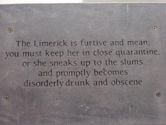 Limerick (poetry)