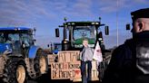 France tractor protests: Dozens arrested as farmers break into huge Paris food market