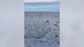 First local sea turtle nest of the season marked on Venice Beach