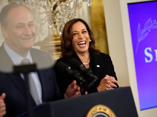 Democrats are ironically declaring their support for Kamala Harris on social media