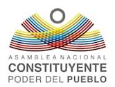 2017 Constituent National Assembly of Venezuela