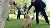 A comfortable fit: Sheriff brings police dogs, trainers, together for blessings