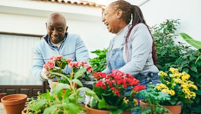 Why gardening is good for the brain