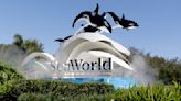 SeaWorld celebrating 60th anniversary with $60 tickets