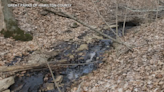 Companies sued for oil spill that shut down Greater Cincinnati nature preserve for 5 years