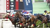 $20M Saudi Cup, Kentucky Derby preps set in weekend horse racing
