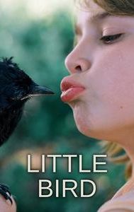 Little Bird