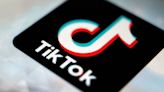 Parents Sue TikTok For 'Blackout Challenge' Following Their Daughters' Deaths