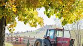 Find a pumpkin patch near Des Moines to visit this fall