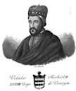 Vitale II Michiel