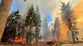 Yosemite fire explodes, threatens iconic giant sequoias in Mariposa Grove, Wawona