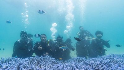 守護澎湖海洋森林 台亞風能復育珊瑚行動啟動