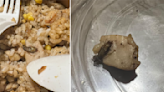 Cockroach found in Pepper Lunch food delivery order from Sengkang