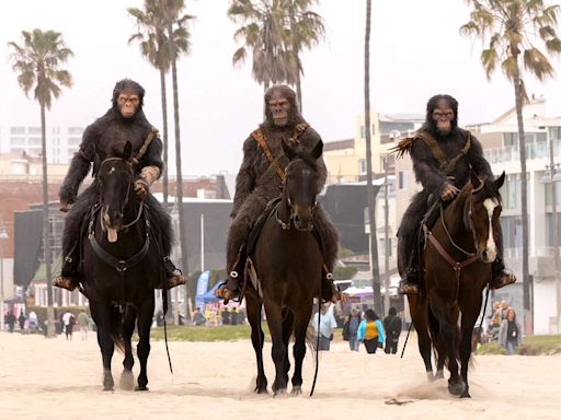 Apes on Horseback Surprise People on Venice Beach as Planet of the Apes Gears Up for Release