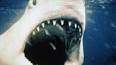 Culture Re-View: 'Jaws', hailed as the father of summer blockbuster movies, is released