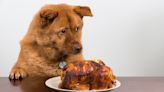 Hysterics as dog tries to avoid eye contact with unattended roast chicken