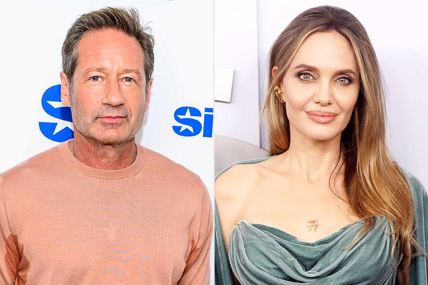 David Duchovny Jokes He 'Discovered' Angelina Jolie During 'Playing God' Audition