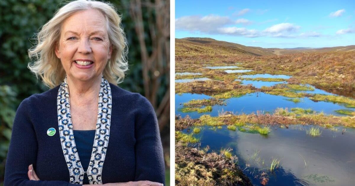 Dragons' Den star Deborah Meaden warns of urgency to protect 'national treasure'