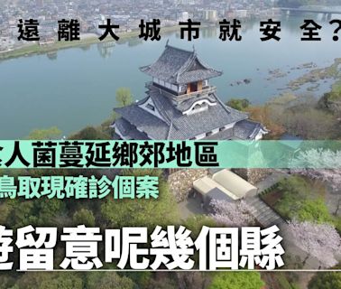 日本食人菌蔓延到農村 旅遊留意「3個縣」 有喉嚨痛徵狀要小心