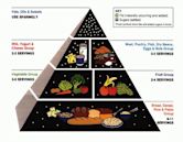 Food pyramid (nutrition)