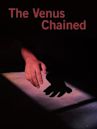 The Venus chained