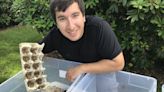 How a millennial dad turned breeding millions of crickets into a $30,000 side hustle