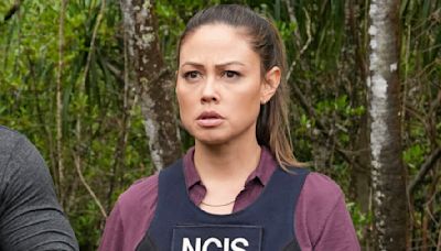 ... Mills And More Reach Out After Vanessa Lachey Says 'A Hui Hou' To Hawaii After NCIS Cancelation