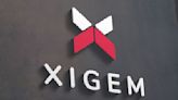 Xigem Technologies sees higher revenue in Q1 driven by EchoDigital asset