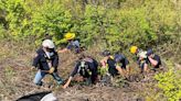 Motorcyclist flown to hospital after Botetourt County crash