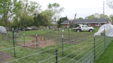 Backyard barn leads to county controversy in Champaign