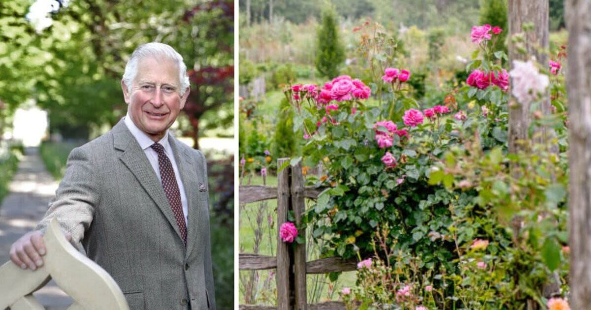 ‘I’m Charles’s gardener - here’s what to plant now for a summer-ready garden'