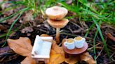 Mushroomcore and More: 14 Decor Ideas for Nature Lovers