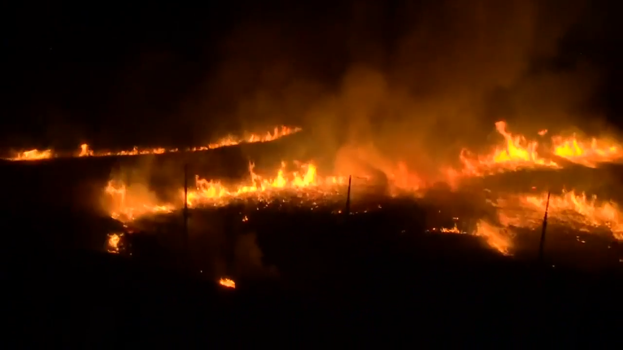 California firefighters make significant progress against wildfire east of San Francisco Bay - WSVN 7News | Miami News, Weather, Sports | Fort Lauderdale