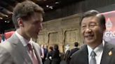 Chinese President Xi videoed confronting Canada PM Trudeau at G20 Summit