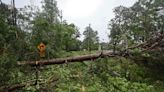 At least 1 dead in Florida as storms continue to pummel the South in a week of severe weather