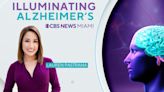 Illuminating Alzheimer's: Shining a light on progress and hope 1 year later