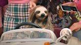 Killer Sloth Horror Slotherhouse Digital Release Date Set for Next Month