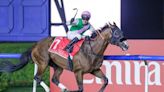 Thrills, surprises in Dubai World Cup card highlight international racing