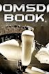 Doomsday Book (film)