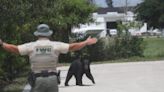 Wanted: More manufactured menace to justify Florida black bear shooting in Royal Palm Beach