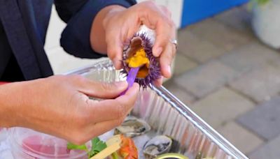 Purple sea urchins are being turned into a delicacy to save kelp
