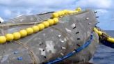 Video captures boats extracting 22,000lb of plastic from Great Pacific Garbage Patch