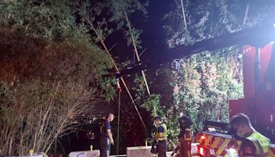 人掉下山溝了！台中男深夜跑山卻自撞⋯機車全毀 命大僅擦傷