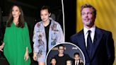 Brad Pitt allegedly objected to Shiloh testifying on her custody arrangement preferences: report